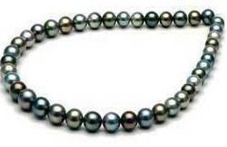 Tahitian Pearl